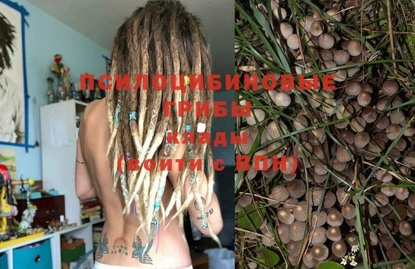 тгк Вязьма